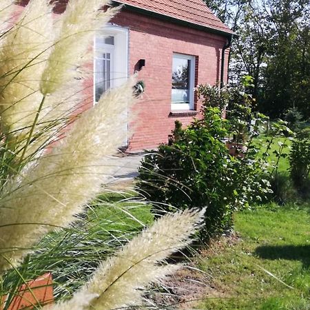 Landhaus Loewenzahn ドルヌム エクステリア 写真