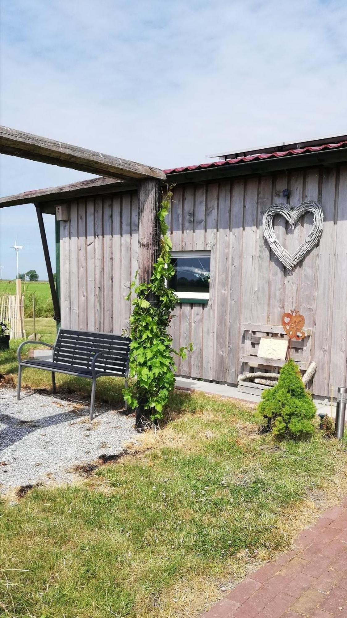 Landhaus Loewenzahn ドルヌム エクステリア 写真