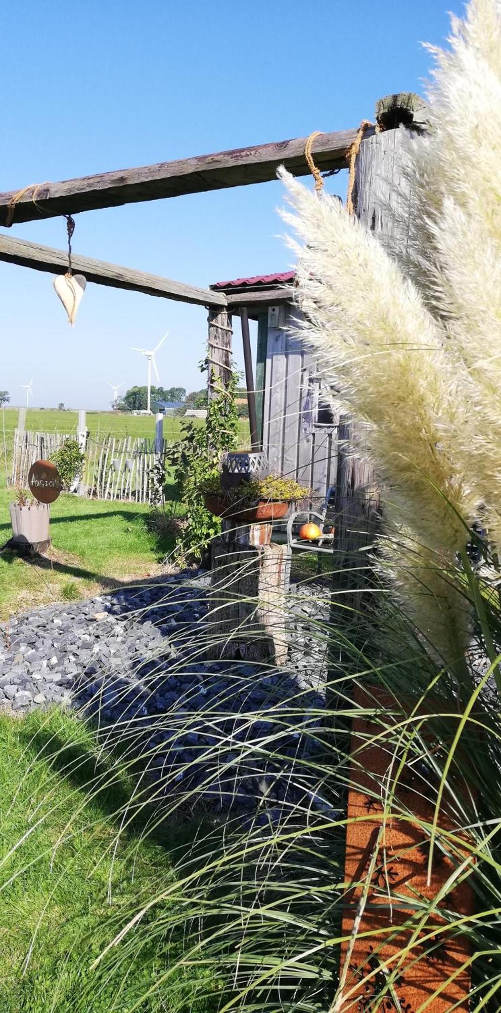 Landhaus Loewenzahn ドルヌム エクステリア 写真