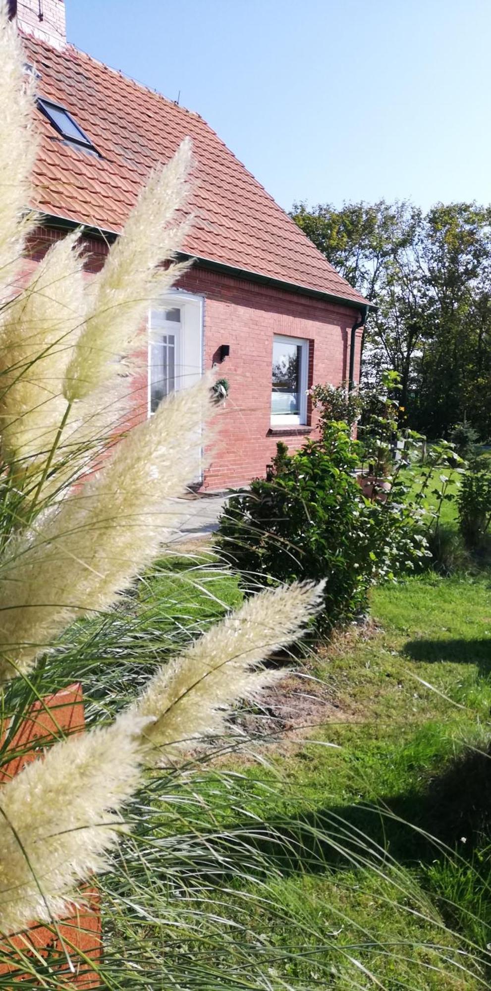 Landhaus Loewenzahn ドルヌム エクステリア 写真